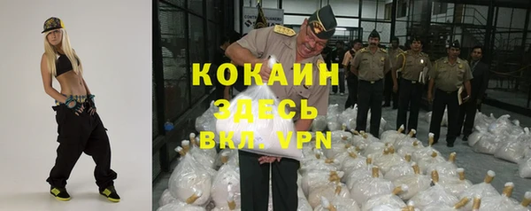 сатива Арсеньев