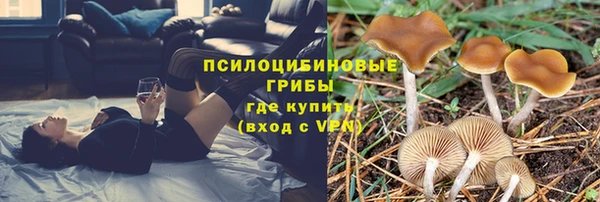 кокс Алексеевка