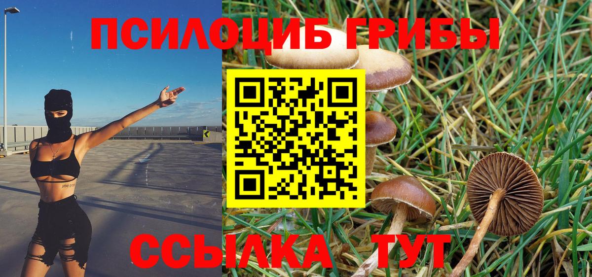 Галлюциногенные грибы мицелий  Вход с VPN  Аша  Галлюциногенные грибы мухоморы 