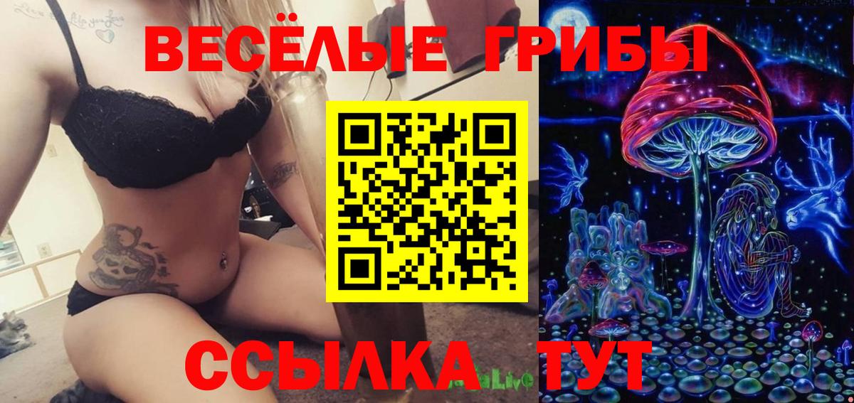 Псилоцибиновые грибы мицелий Аша